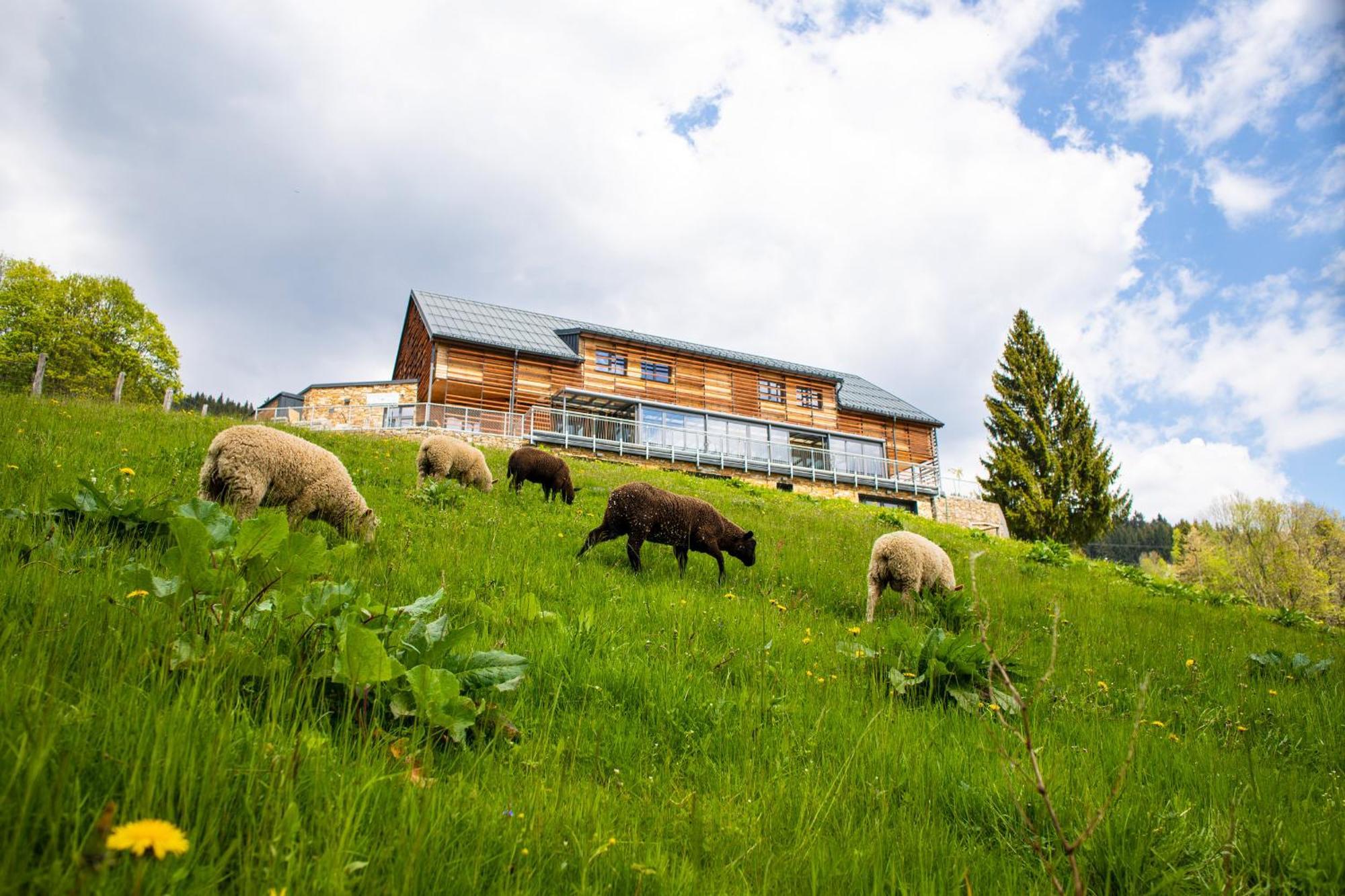 Amenity Hotel & Resort Špindlerŭv Mlýn Екстериор снимка