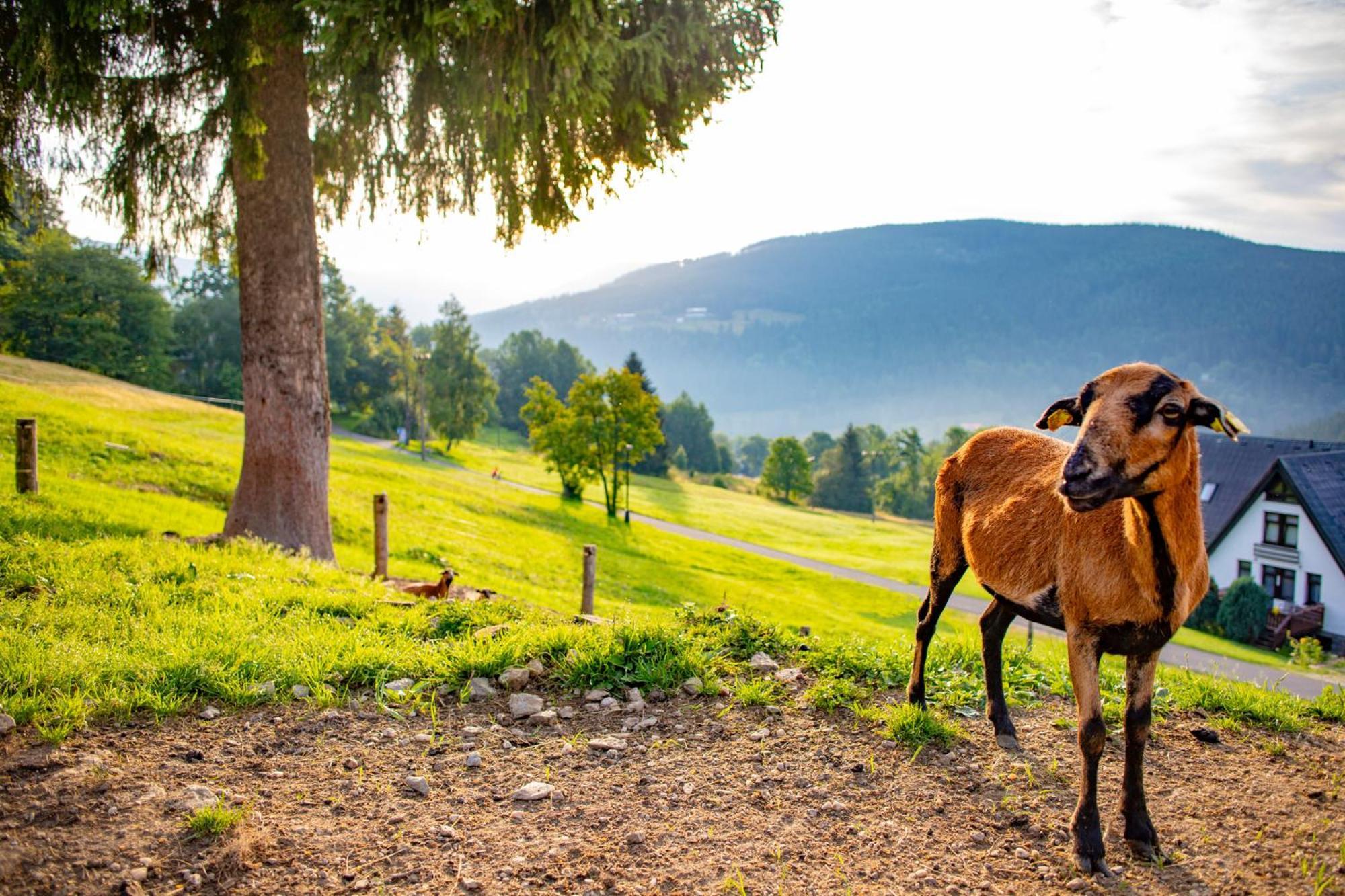 Amenity Hotel & Resort Špindlerŭv Mlýn Екстериор снимка