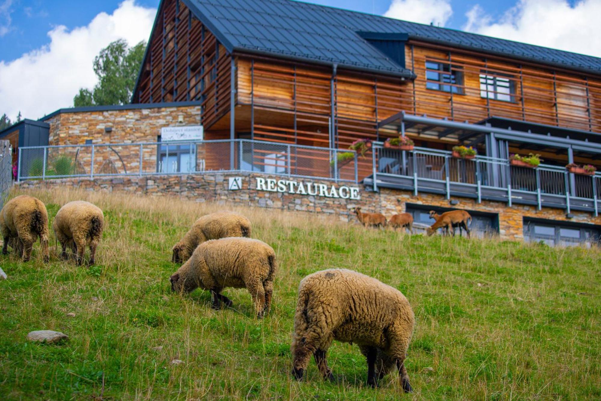 Amenity Hotel & Resort Špindlerŭv Mlýn Екстериор снимка